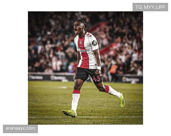 特德斯科重塑比利时国家队战斗力，新帅上任展现亮眼开局